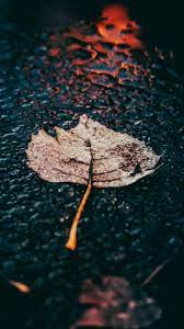 Pin By Ali Sarkari On Background Wallpaper Frames Rain Pictures Rain Wallpapers Rain Photography