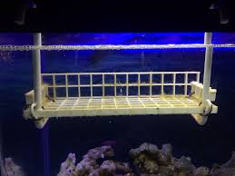 We did not find results for: Very Minimal Diy Mini Frag Rack Greater Iowa Reef Society