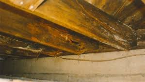 Floor Joist Rot Can Occur In A Basement Crawl Space Or Slab Fixing Reinforcing And Repairing Floor Joists H Repair Floors Flooring Waterproofing Basement