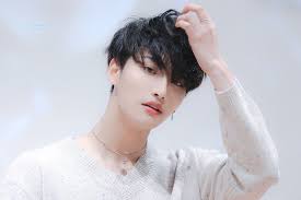 Guess My Fockin Biases Quiz By Atzadvocate In 2020 Kpop Guys Kpop Kpop Idol