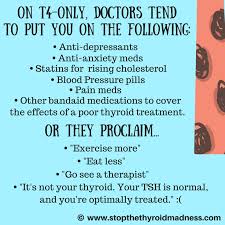 The Controversy Of T4 Only Meds Like Synthroid Or