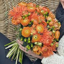 Image result for Ranunculus raeae