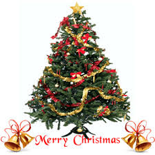 Christmas tree shop online shopping india. Send Christmas Trees To India Online Shop For Xmas Trees In India Giftsnflowers In