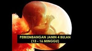 Perkembangan bayi di dalam kandungan sudah semakin baik. Perkembangan Janin 4 Bulan 13 16 Minggu Youtube
