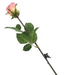 We did not find results for: Artificial 52cm Single Stem Closed Bud Dusky Pink Rose Artplants
