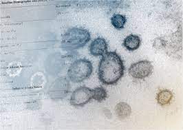 It has been researched and developed in the usa by the pharmaceutical giant glaxosmithkline along with the biotech company, vir biotechnology. Using Sotrovimab To Treat Covid 19 Early