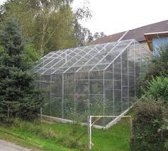 Federbestimmung Vogelvoliere Sittiche Bauernhof