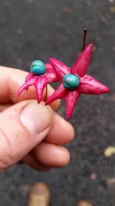 Jon simpkins (@jonsimpkins)