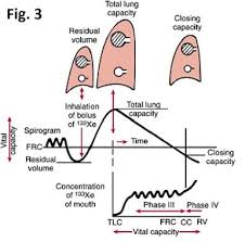 Pin On Physiology