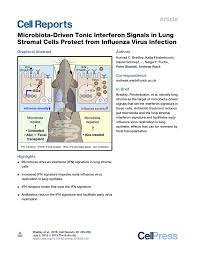 Unter joachim kardinal meisner war er von 2004 bis 2012 generalvikar. Pdf Microbiota Driven Tonic Interferon Signals In Lung Stromal Cells Protect From Influenza Virus Infection