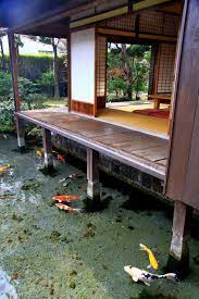 Rumah minimalis diatas kolam ikan. Rumah Minimalis Desain Rumah Panggung Diatas Kolam Ikan Facebook