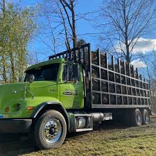 Our tree company is the best in bellmore, ny and new york city. Top 10 Best Tree Removal Services In Freeport Ny Angi Angie S List