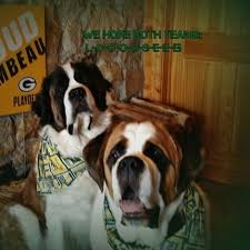 Welsh corgis are some of the healthiest herding dogs out there. Wisconsin Saint Bernard Rescue Home Facebook