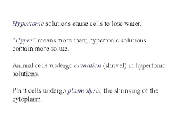 Maybe you would like to learn more about one of these? Plasma Membrane Structure And Function The Plasma Membrane