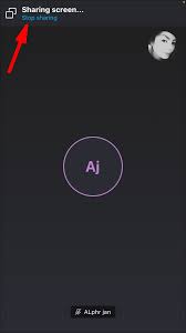 How To Share The Screen With Sound On In Skype