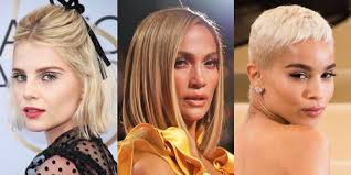 Rather than dying hair darker and adding highlights, the look is best for those who already have brown hair. 15 Short Blonde Hair Ideas For 2020 Blonde Hairstyles Haircuts