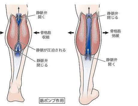 足は第２の心臓💛