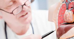 Alcoholic Liver Disease Symptoms Causes Treatments