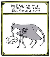 Of Course Everyone Knows About Thestrals Harry Potter Creatures Harry Potter Universal Harry Potter Obsession