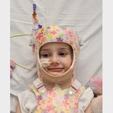 Fundraiser by Jess P : Violet's Fund