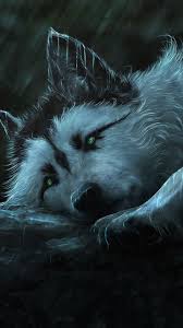 The only right place to download wolf wallpapers in 4k(ultra hd) full free for your desktop backgrounds. Ultra Hd Wolf Wallpaper Hd For Mobile