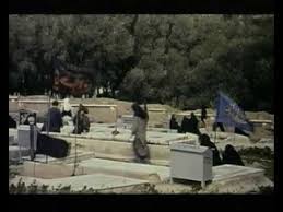 It was distributed by miramax films. Through The Olive Trees Trailer Youtube