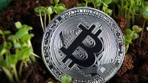 Best cryptocurrencies to buy selecting best crypto wallet in 2020 crypto trends expecting in 2020 conclusion. The Best Cryptocurrency To Invest In Spring 2020 Currency Com