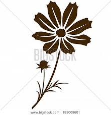 See more ideas about drawings, flower art, flower doodles. Vector Cosmos Flower Vector Photo Free Trial Bigstock
