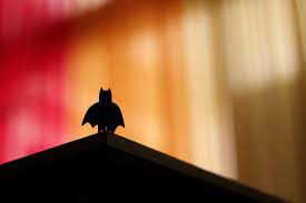 September 27, 2019 at 8:06 pm. 120 Batman Trivia Questions For Superfans Thought Catalog
