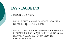Jan 08, 2020 · plaquetas: Serie Celular Megacariocitica Las Plaquetas Maduras Son Fragmentos