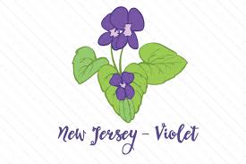 It lets you abiltiy to generate and export pngs and svgs of beautiful waves. State Flower New Jersey Violet Svg Cut Files Free Svg File