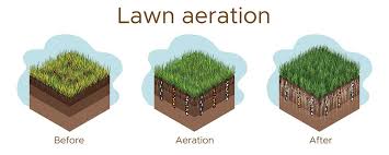 Lawn care services companies will provide lawn aeration. Aerate Lawn How To Aerate Your Lawn Alc Turf Tips