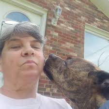 How are the frozen egg rolls?