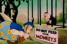 Don't feed the troll (s) slang do not engage with or pay attention to a person in an online forum, social media platform, etc., who intentionally attempts to antagonize or provoke others. Dont Feed Trolls Gifs Tenor