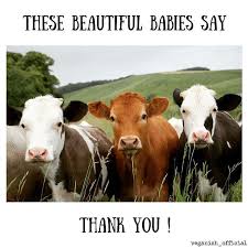 Thank You For Being Vegan Vegan Cows Funny Happy Cow Cow