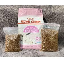Royal canin urinary care makanan kucing dewasa 400gr. Royal Canin Mother Babycat Makanan Kucing Kering Repack 400gr Terbaru Agustus 2021 Harga Murah Kualitas Terjamin Blibli
