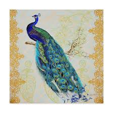 3d mural background blue peacock on branch wallpaper. World Menagerie Beautiful Peacock By Jean Plout Print On Canvas Reviews Wayfair