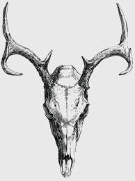 Black And White Deer Skull Tattoo Anatoref Skulls By Mikolaj Cielniak In 2020 Deer Skull Tattoos Animal Skull Drawing Skull Art