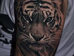 Nov 02, 2017 · tattoo.com was founded in 1998 by a group of friends united by their shared passion for ink. 1001 Ultra Coole Tiger Tattoo Ideen Zur Inspiration Weisser Tiger Tattoo Tiger Tattoodesign Tiger Tattoo