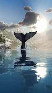 17 Inspiradores Fondos De Pantalla Para Llevar A La Naturaleza Contigo Animales De Oceano Animales Animales Acuaticos