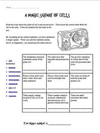Each worksheet is available as a free printable in jpeg format. Magic Square Of Cells By Halley Chase Teachers Pay Teachers