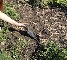 Spear head spade model shfd3 best tool made out of carbon steel: 100 Genuine Counter Guarantee Radius Garden 30502 Ergonomic 5 Piece Gardening Hand Tool Set Green Garden Outdoor Up To 60 Discount Www Ballonaj Co Il