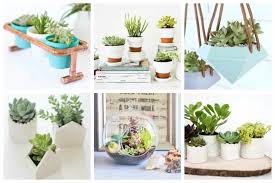 For this planter you really only need four things: 17 Easy Diy Indoor Succulent Planter Ideas To Beautify Your Home Ideal Me