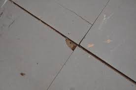 We did not find results for: Vinyl Floor Tiles And Covering And Asbestos Asbestos