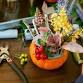 Pumpkin Flower Workshop event image