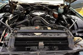 Image result for Garganey Teal 1973 Cadillac