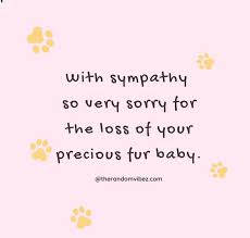 Someone asked me what the most difficult thing about owning a dog was. 90 Sympathy Quotes For Loss Of Pet And Pet Loss Messages