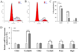 Depending on the martial arts style or system, pressure point fighting can range from being. Ijms Free Full Text Knockout Of The Transducin Like Enhancer Of Split 6 Gene Affects The Proliferation And Cell Cycle Process Of Mouse Spermatogonia Html