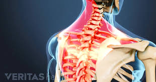 Authors understanding anatomic concepts leads to an informed examination of the spine. What Causes Upper Back And Chest Pain