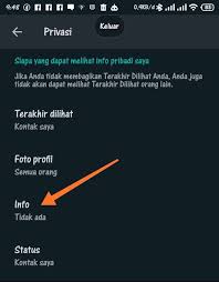 Gambar foto profil wa kosong lucu. Cara Menghilangkan Info Di Wa Tanpa Aplikasi Tambahan Ridpir